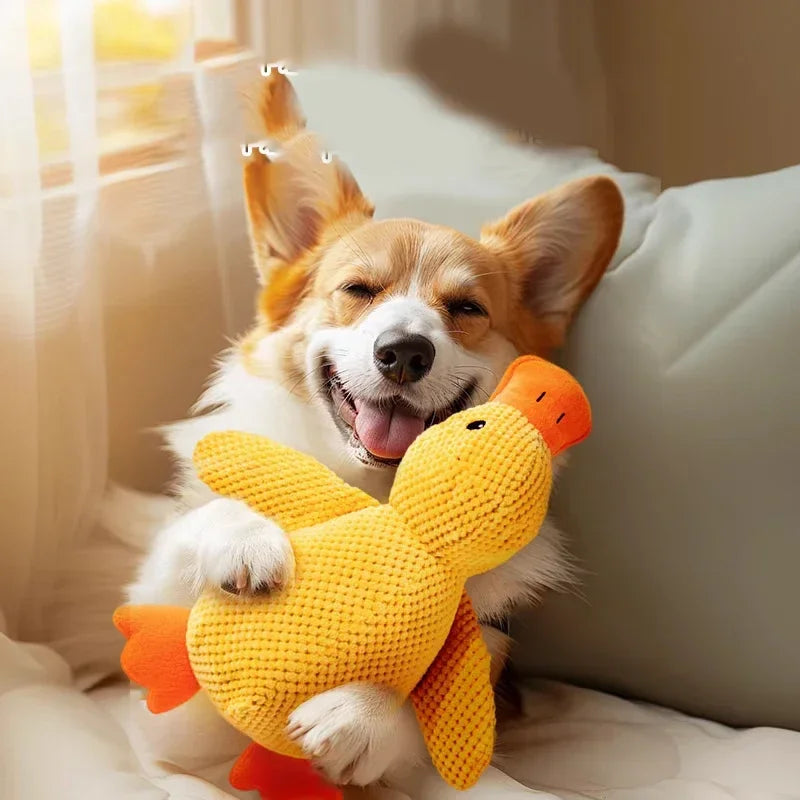 Dog Duck Toy