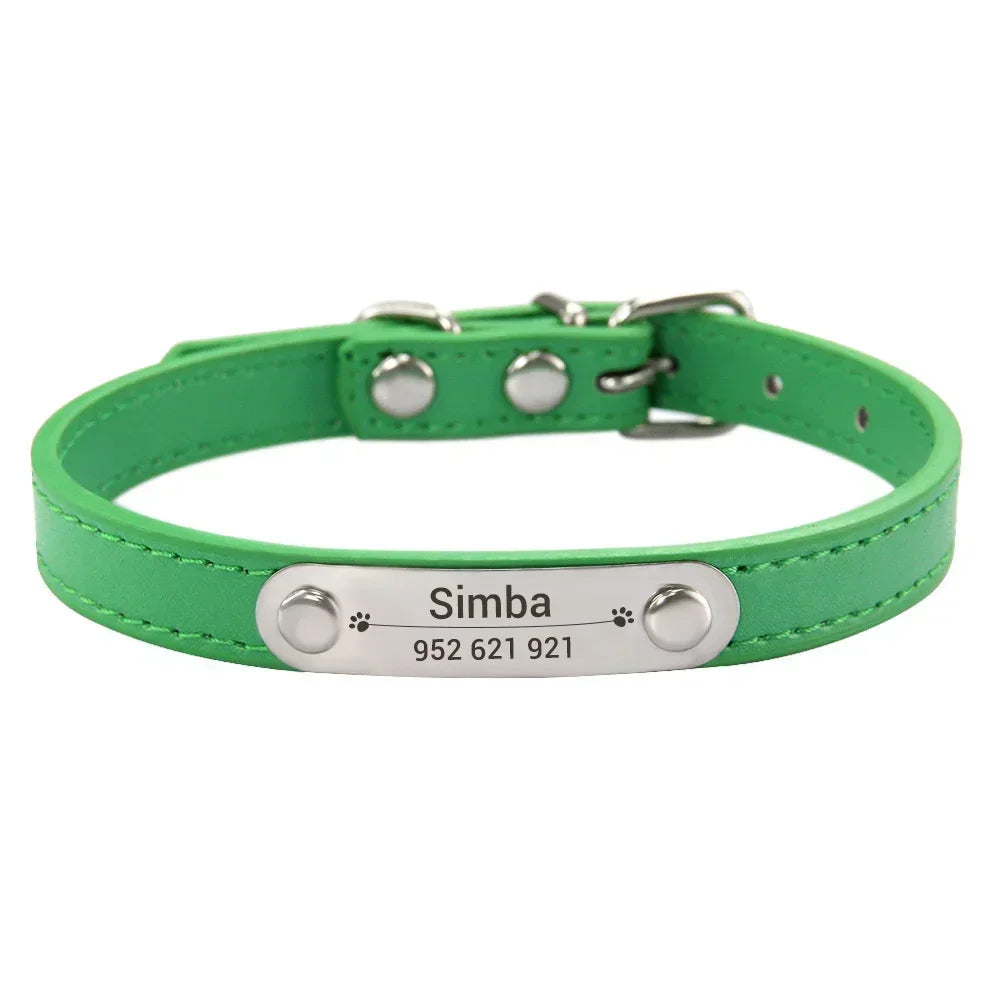Dog Collar