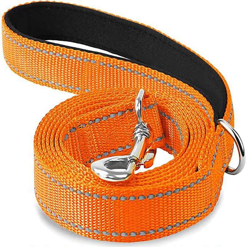 Dog Lead