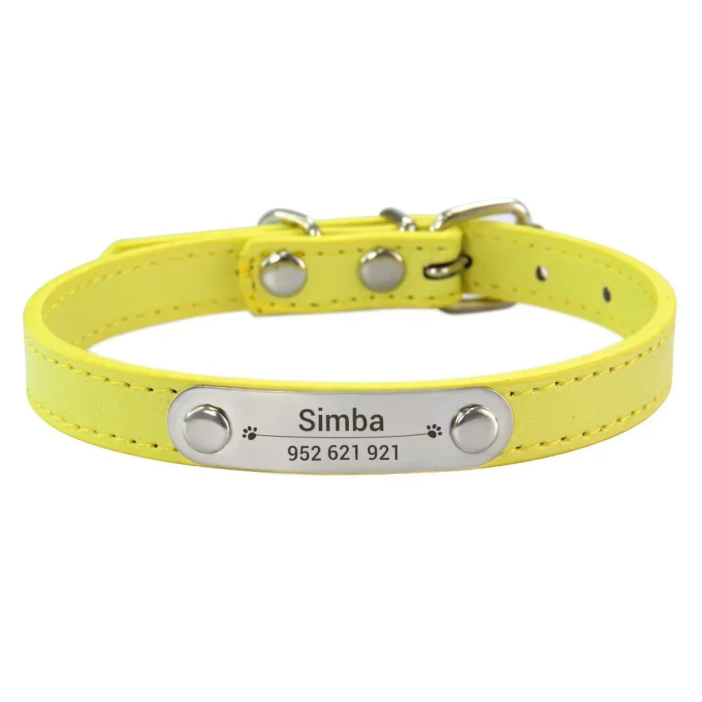 Dog Collar