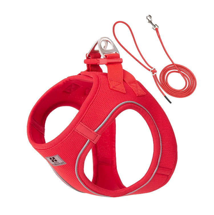 Dog Harness