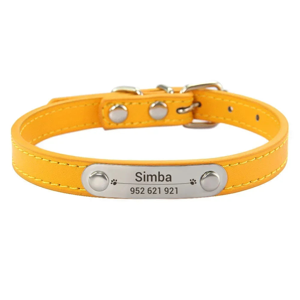 Dog Collar