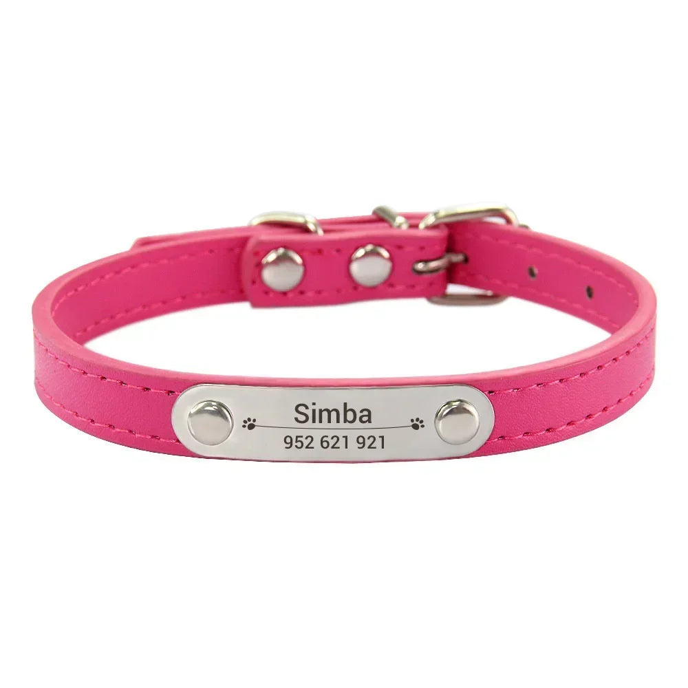Dog Collar