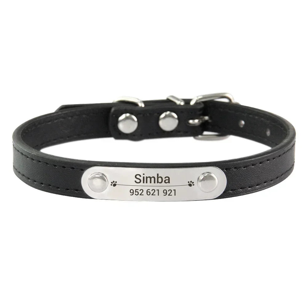 Dog Collar
