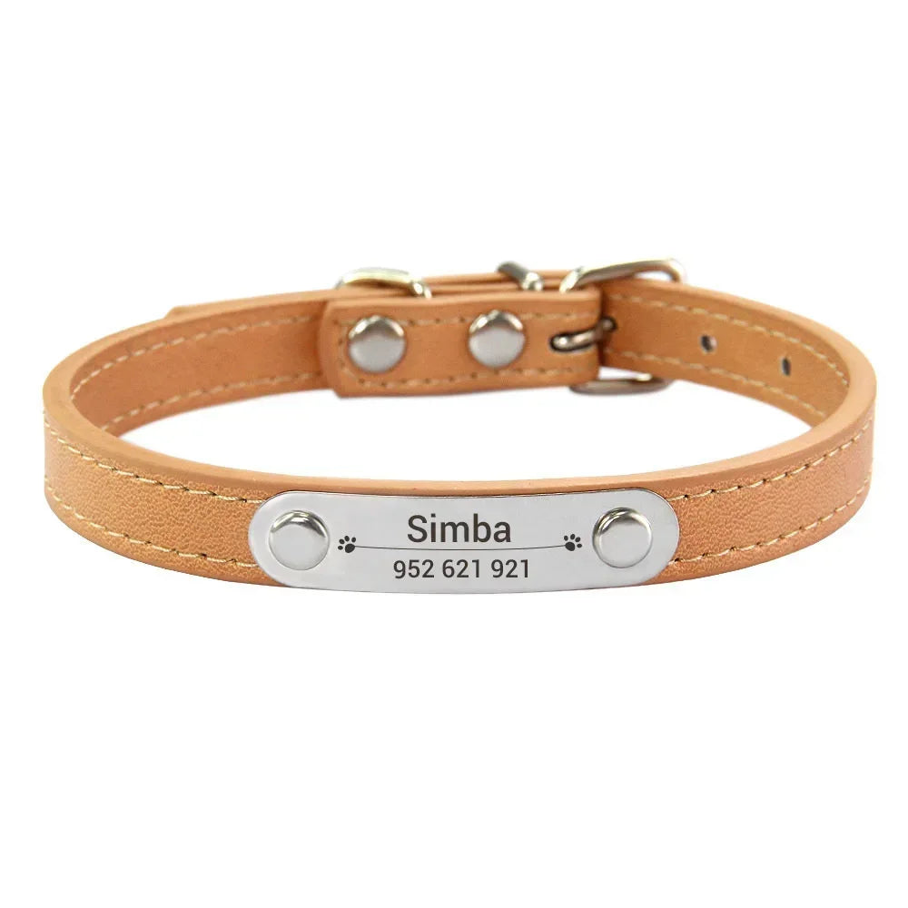 Dog Collar
