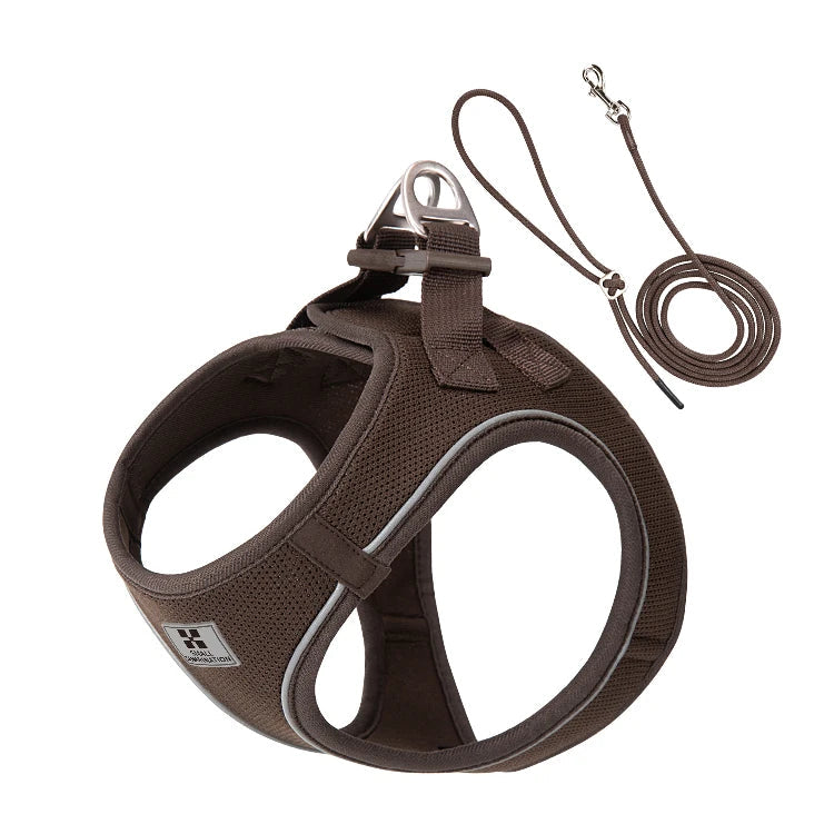 Dog Harness