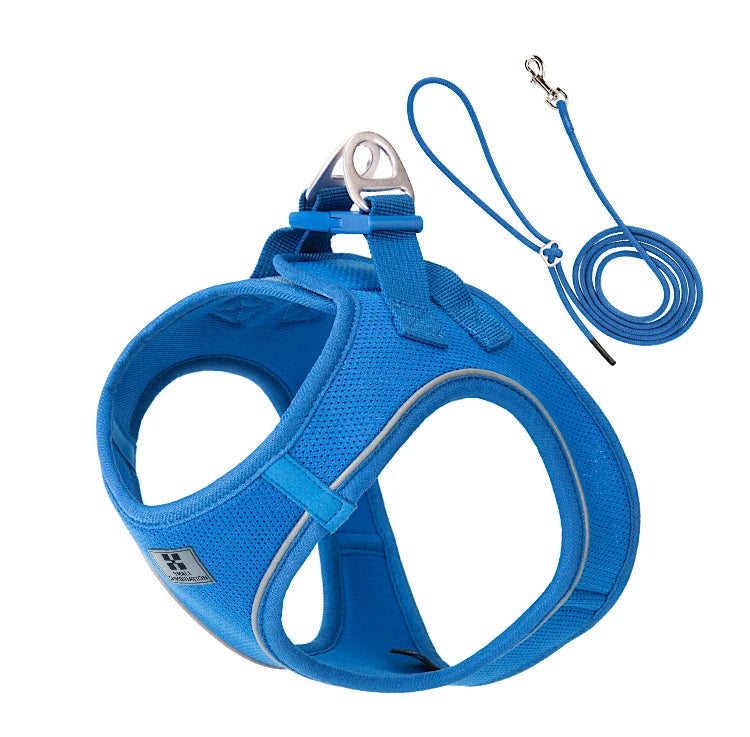 Dog Harness