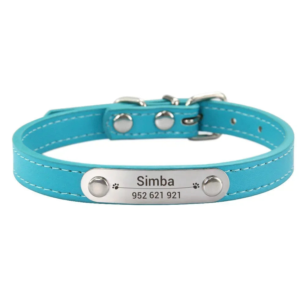 Dog Collar