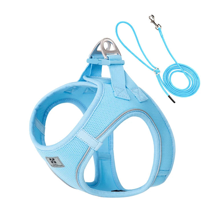 Dog Harness