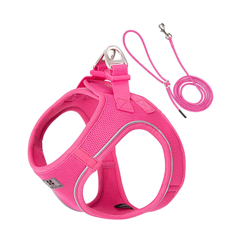 Dog Harness