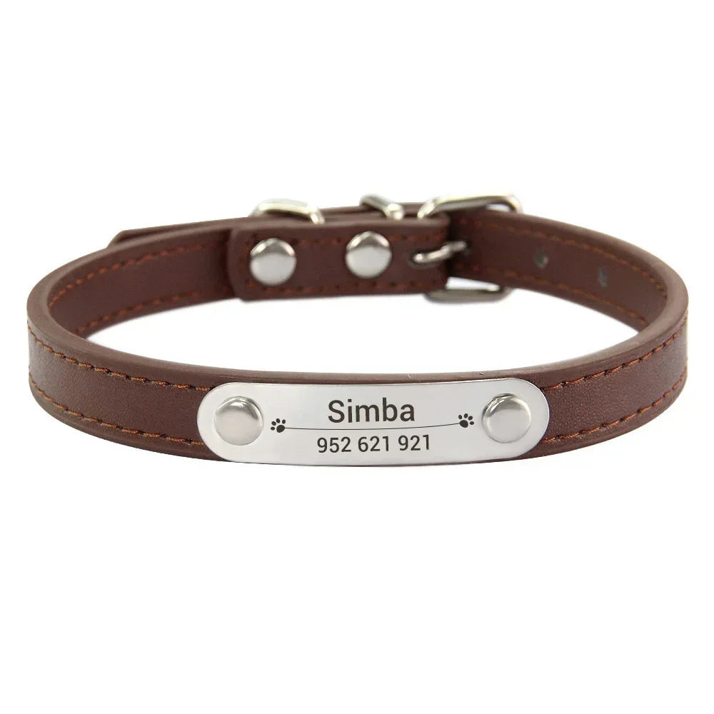 Dog Collar