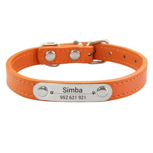 Dog Collar