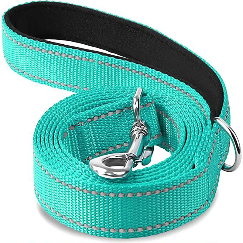 Dog Lead