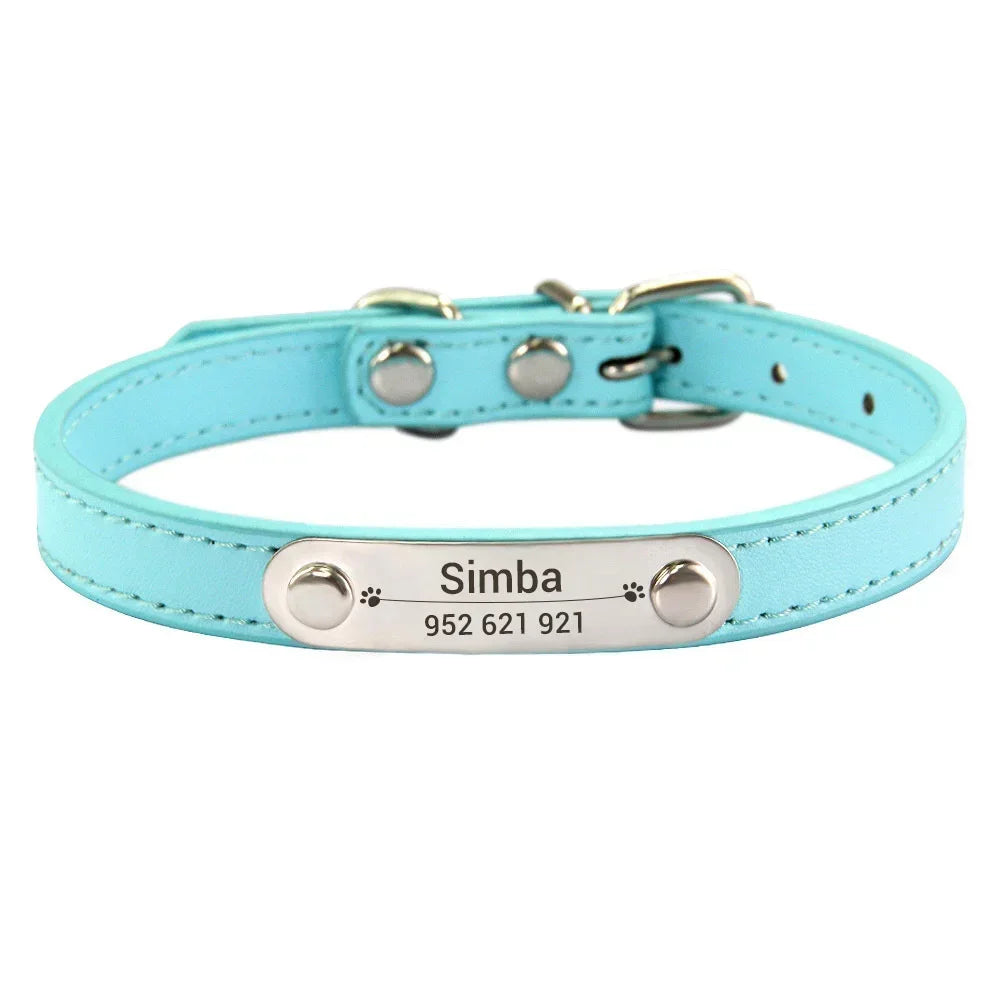 Dog Collar
