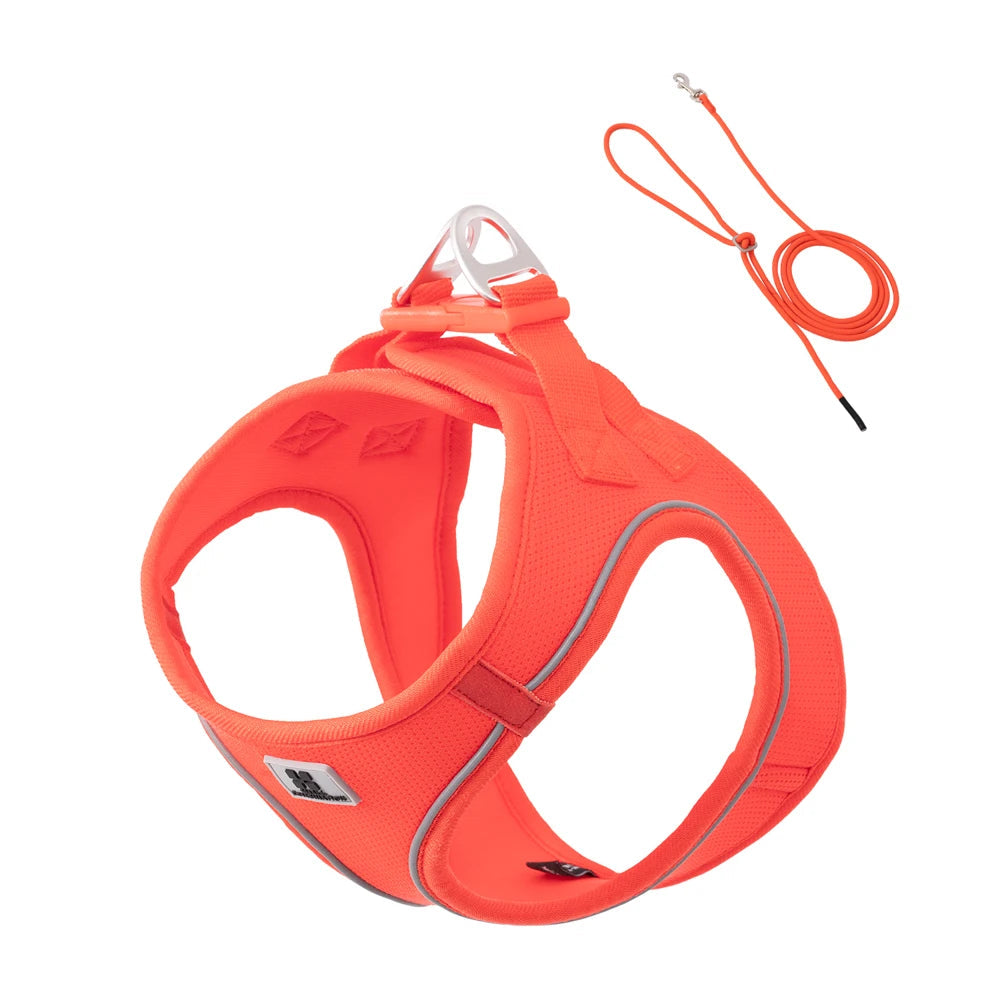 Dog Harness