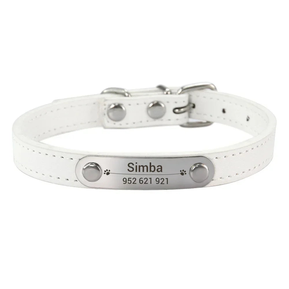 Dog Collar