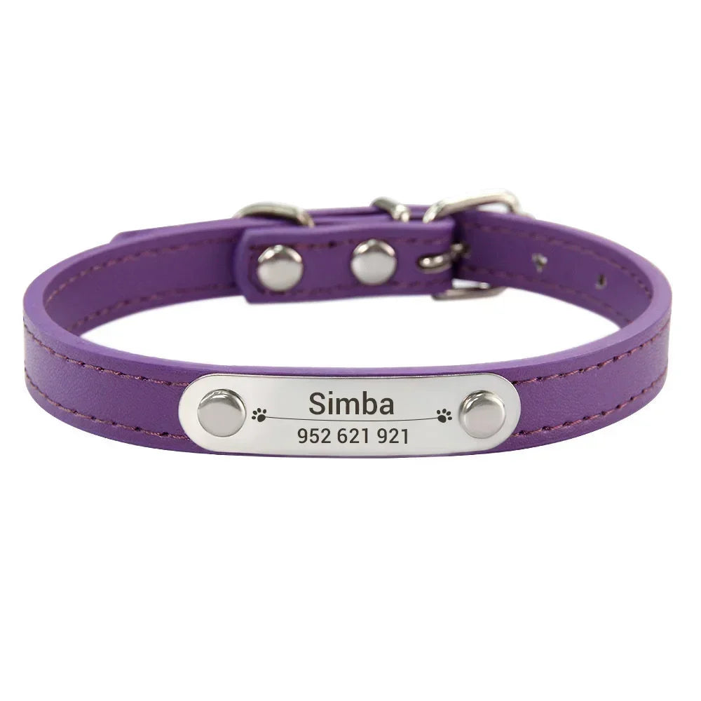 Dog Collar