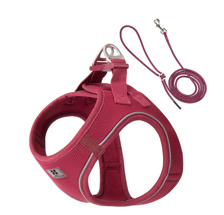 Dog Harness