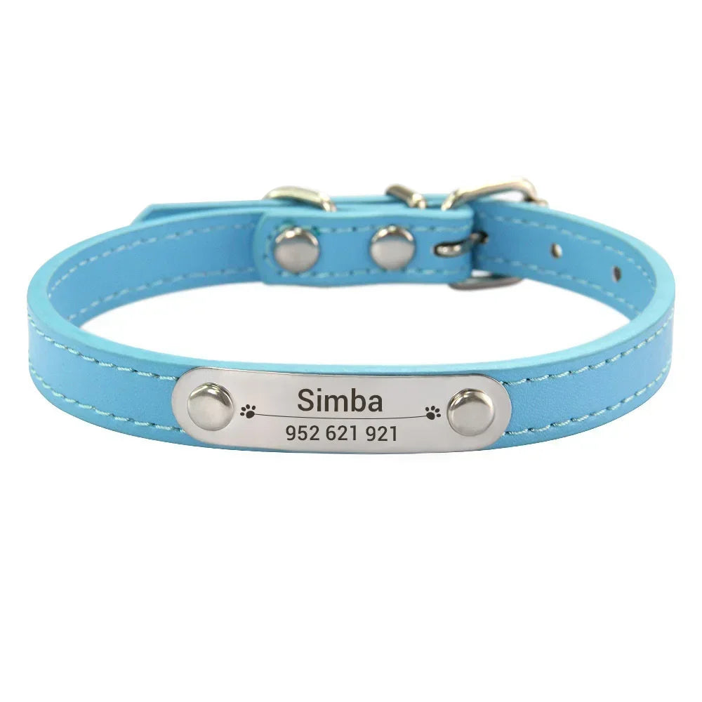 Dog Collar