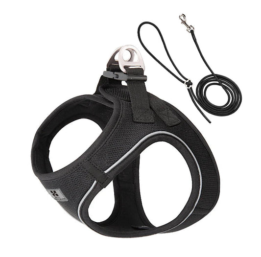 Dog Harness
